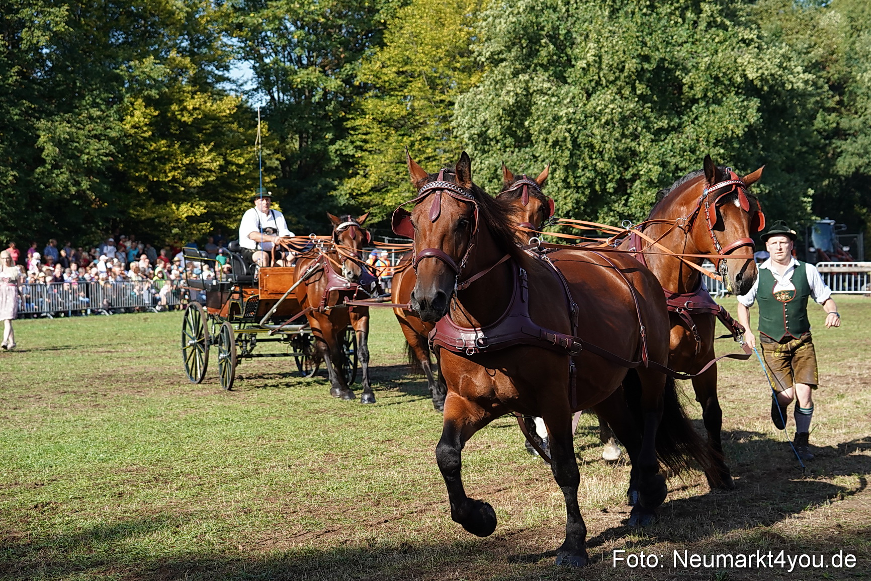 Pferde und Fohlenschau 2022 0073 